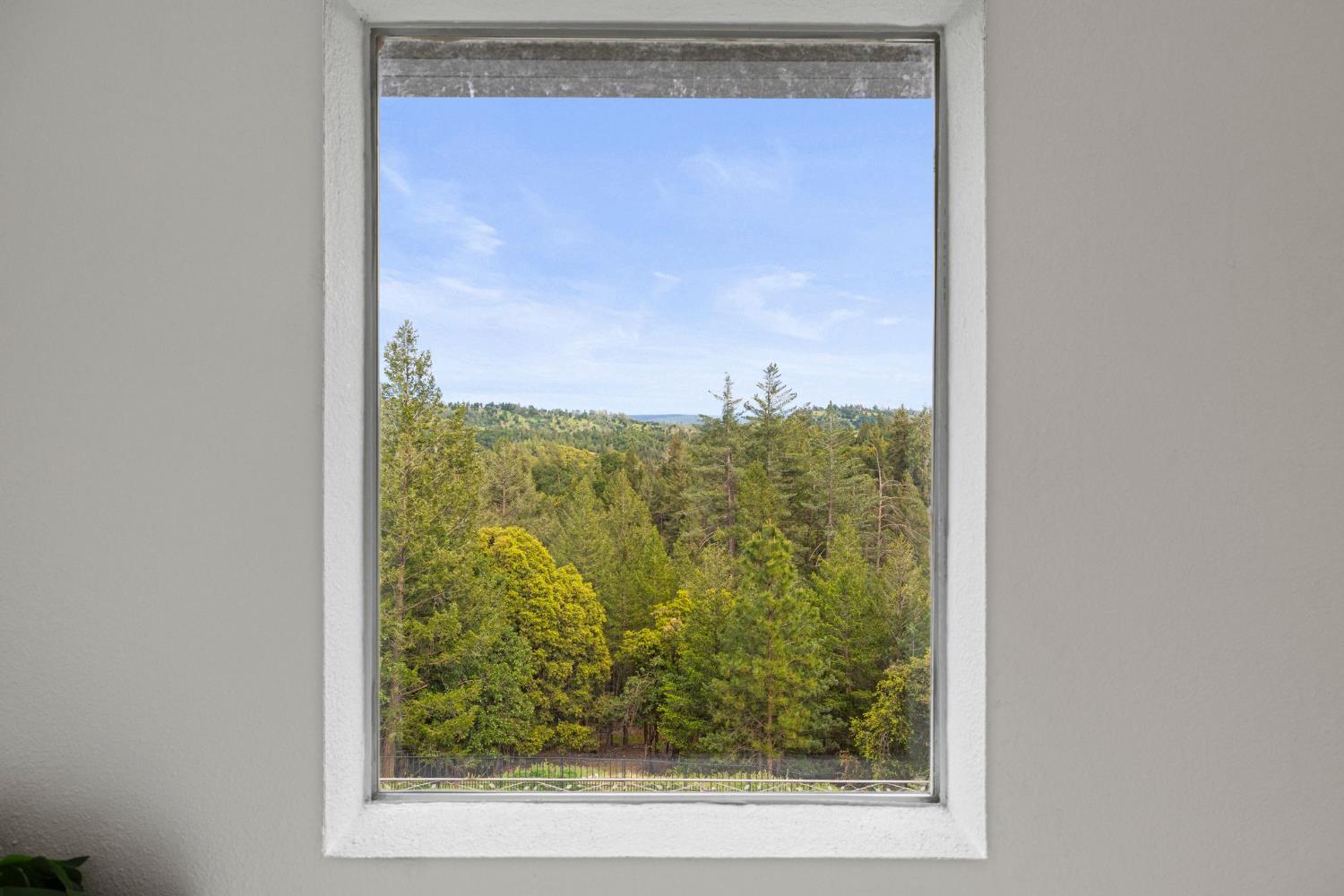 22160 Winchester Way Colfax, CA 95713 - Photo 54 of 84