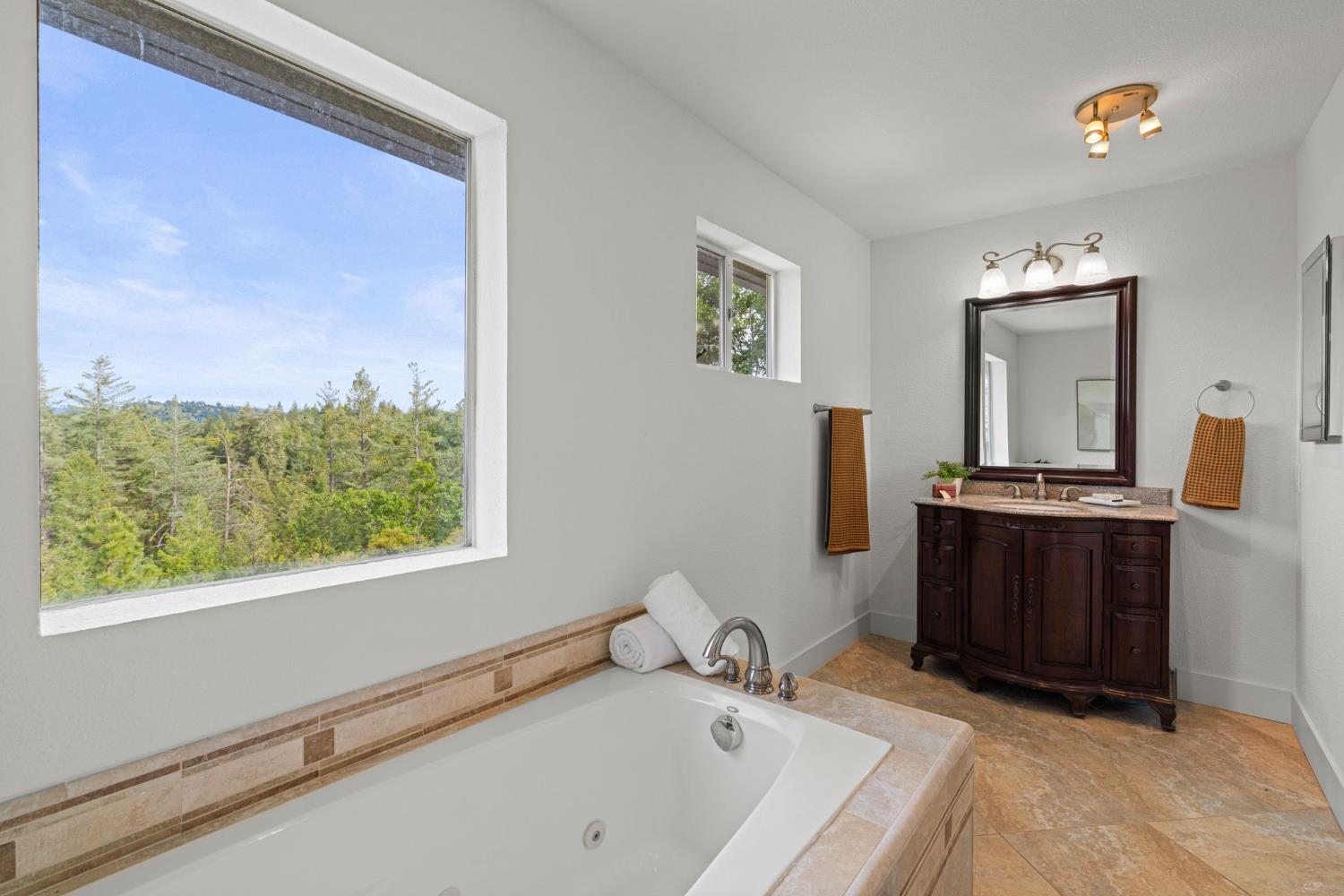22160 Winchester Way Colfax, CA 95713 - Photo 55 of 84 a bathroom with a tub sink and mirror