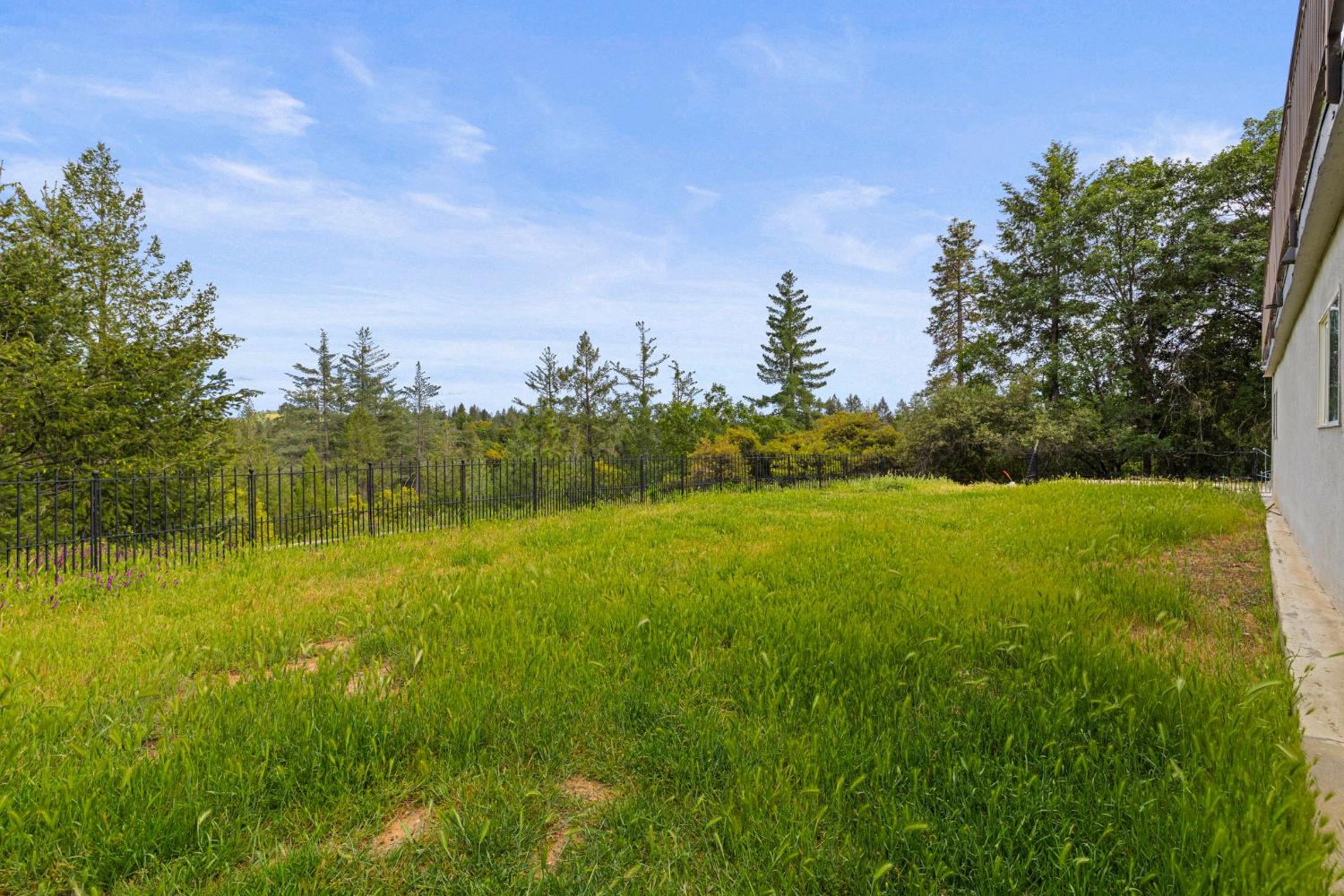 22160 Winchester Way Colfax, CA 95713 - Photo 68 of 84 a view of a big yard with an outdoor space and seating area