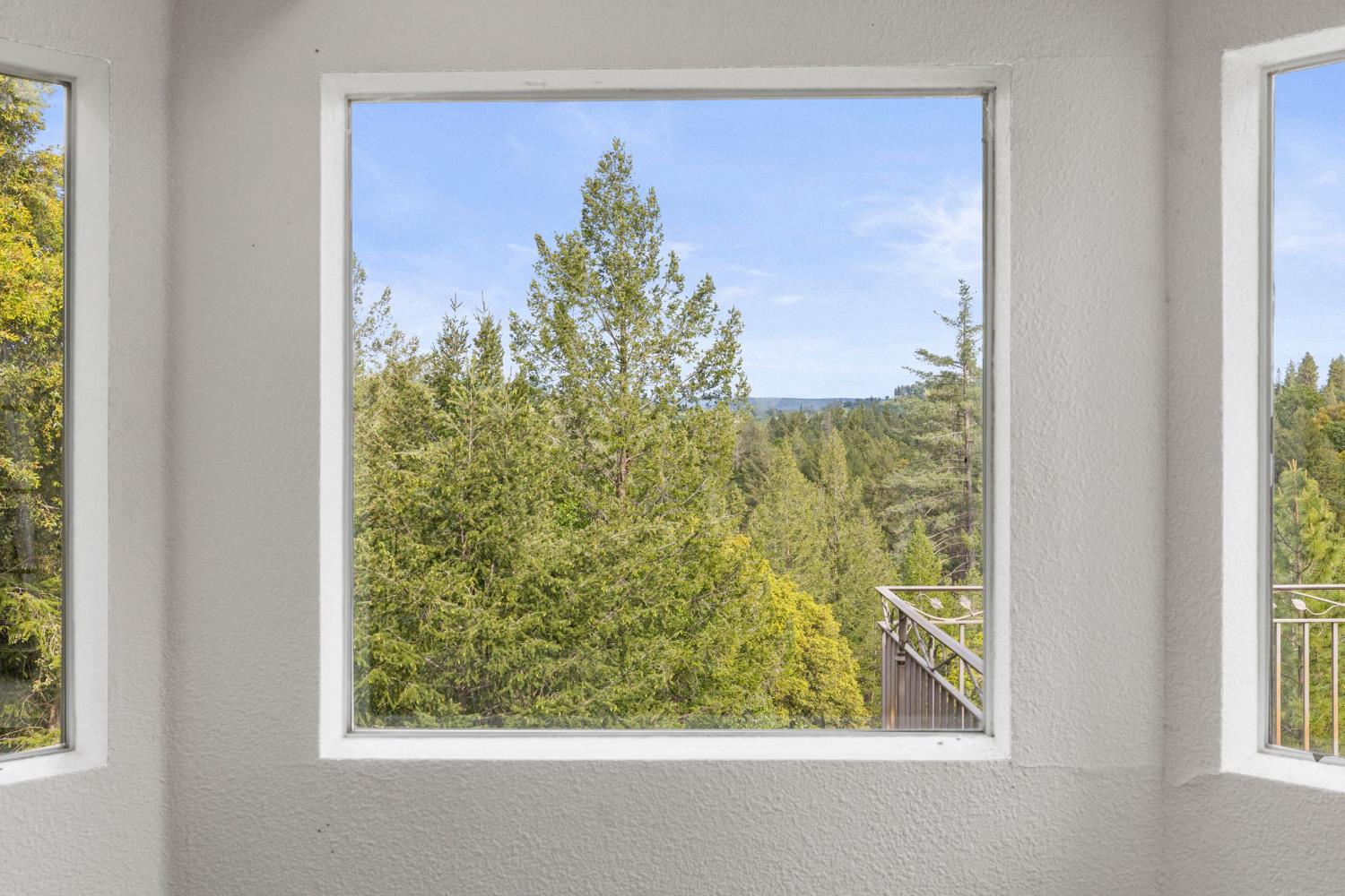 22160 Winchester Way Colfax, CA 95713 - Photo 10 of 84 view of a window in a room