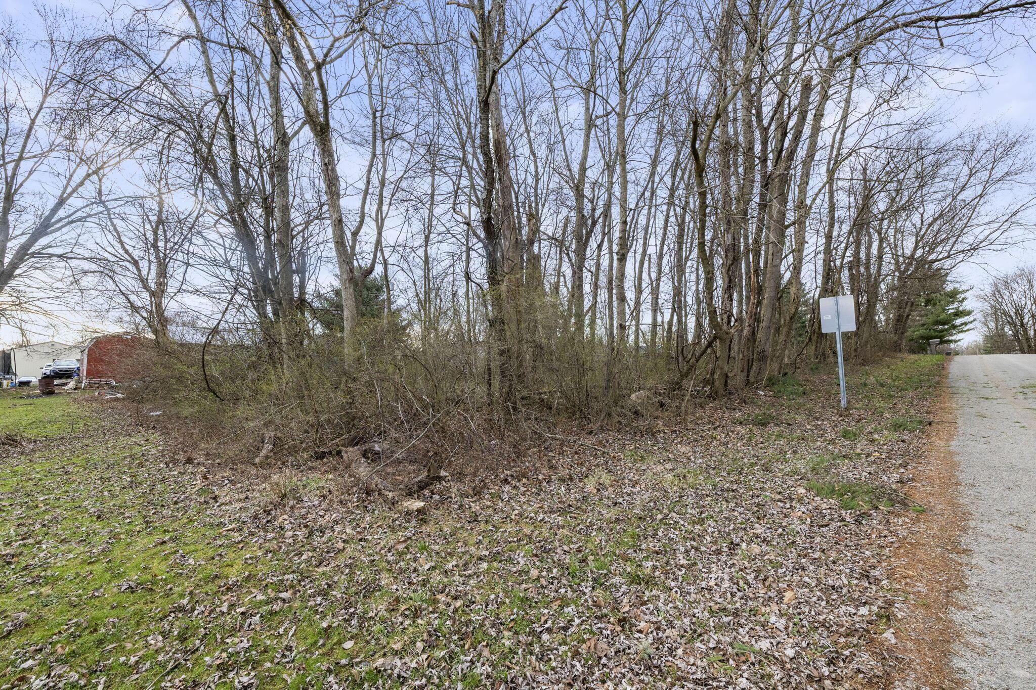 0 King Road Northeast Thornville, OH 43076 - Photo 10 of 31 39-web-or-mls-JN4A4891