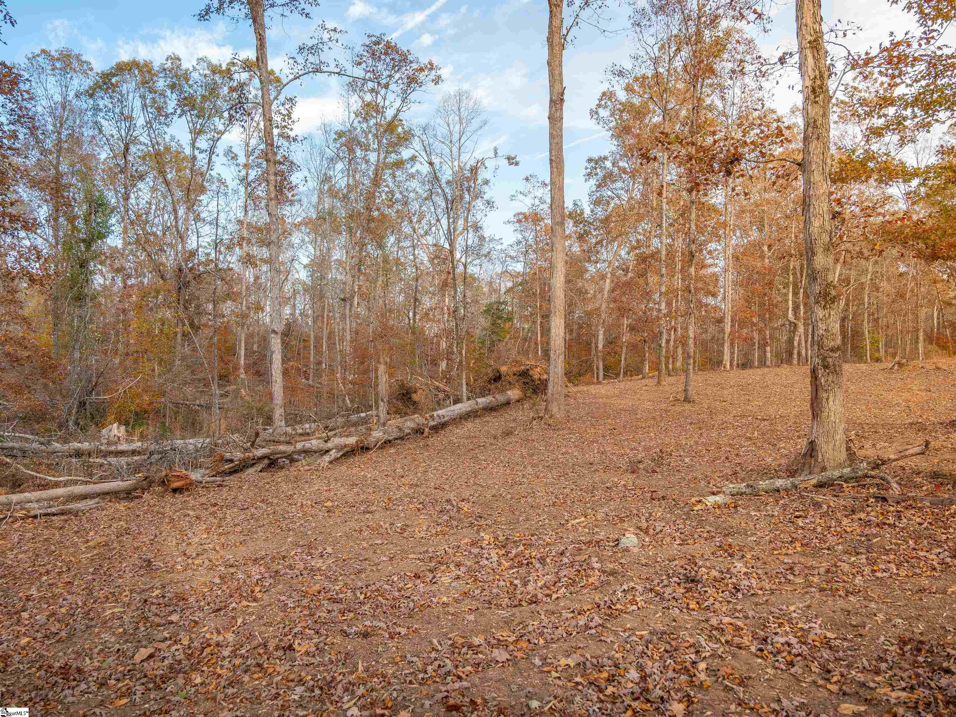 253 West Chapman Road, Unit LOT 8 Belton, SC 29627 - Photo 17 of 23