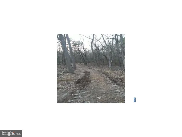 a picture of a bench in middle of a forest