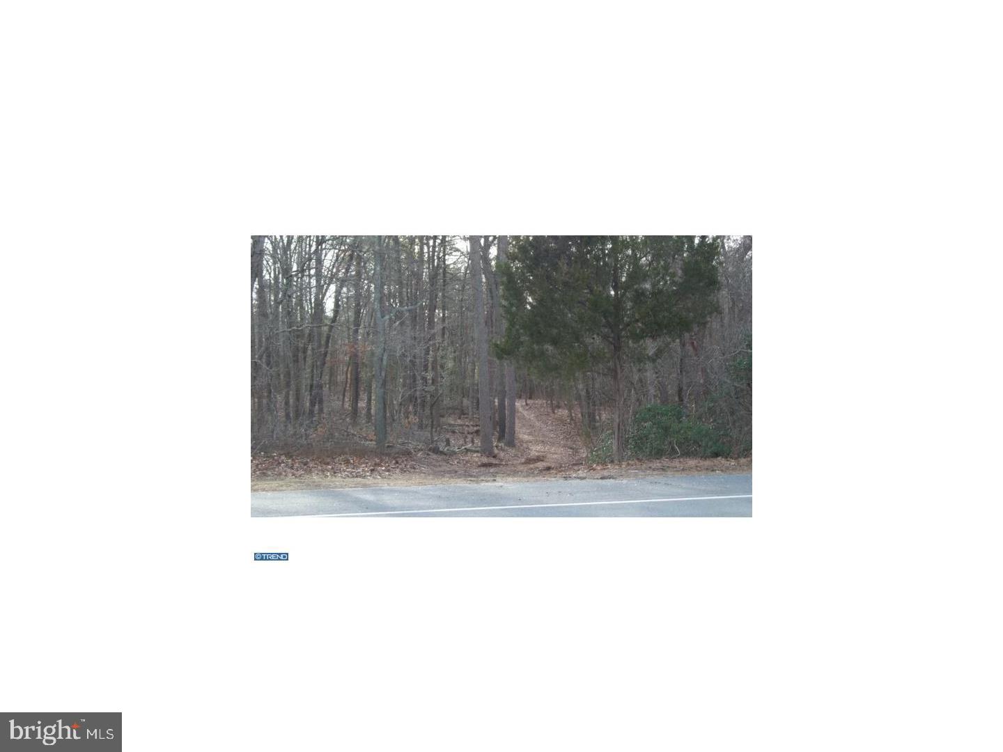 0 Quinton-Marlboro Road Salem, NJ 08079 - Photo 4 of 13 a view of a room with a bench