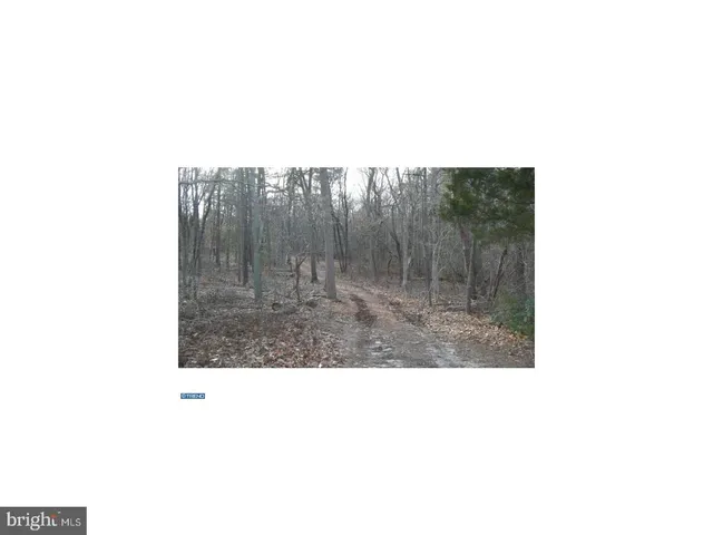 a picture of a person