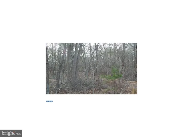 a picture of city view