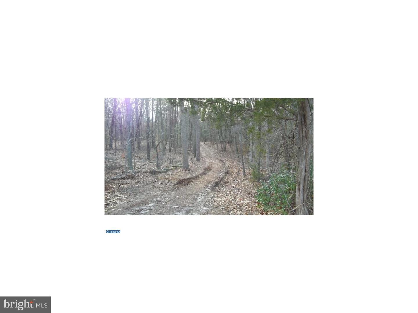 0 Quinton-Marlboro Road Salem, NJ 08079 - Photo 8 of 13 a picture of city view