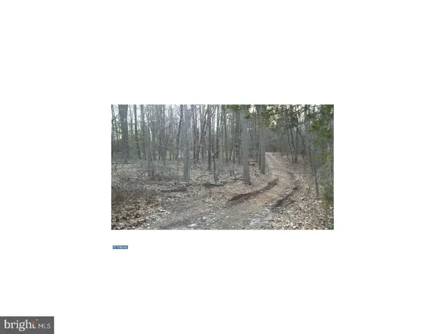 a picture of city view