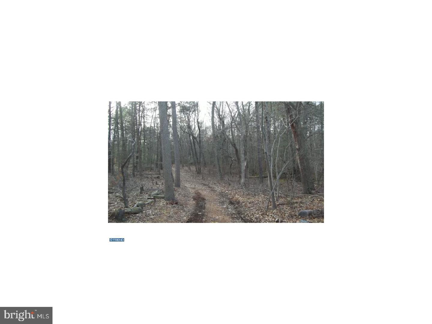 0 Quinton-Marlboro Road Salem, NJ 08079 - Photo 10 of 13