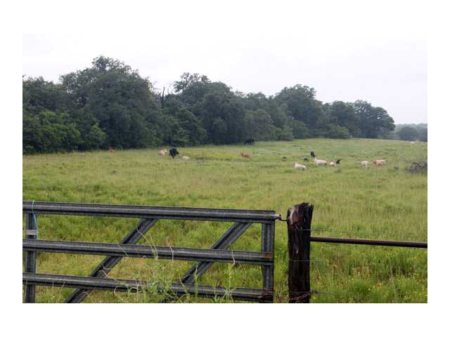 1 Chuckwagon Road Dale, TX 78616 - Photo 1 of 1 Land