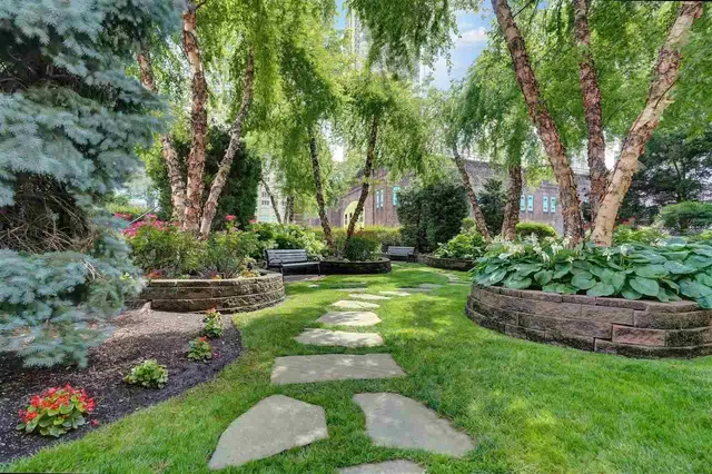 a view of a garden with a tree