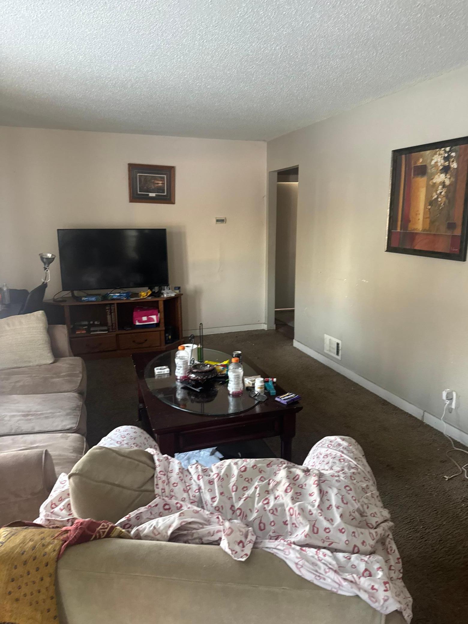 602 84th Lane Northwest Coon Rapids, MN 55433 - Photo 4 of 10