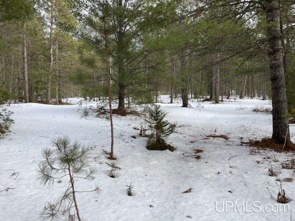Lot 7 Powell Lake Road Wetmore, MI 49895 - Photo 10 of 16