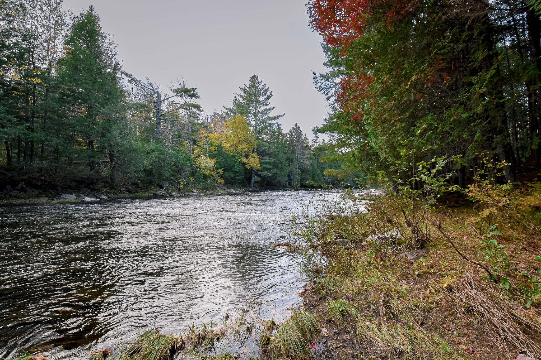 Lot 8 Coles Corner Road Abbot, ME 04406 - Photo 71 of 77 DSC_0992