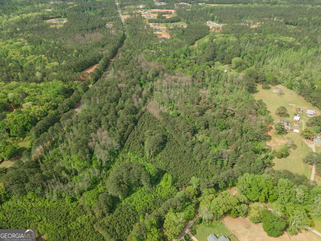 0 Beavers Road Grantville, GA 30220 - Photo 4 of 11