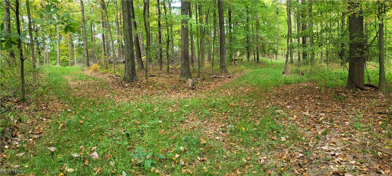 343 County Road Coshocton, OH 43812 - Photo 25 of 49 Gallery Image 25