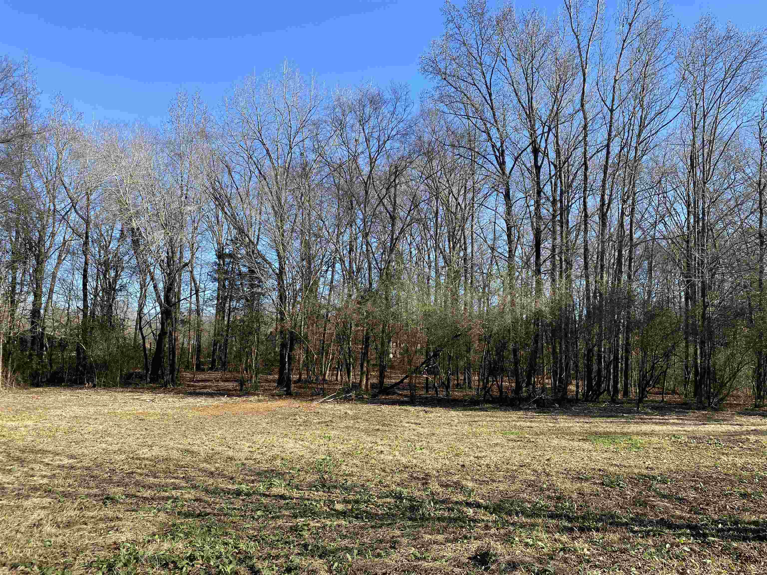 475 County Home Road Savannah, TN 38372 - Photo 18 of 25 Gallery Image 18
