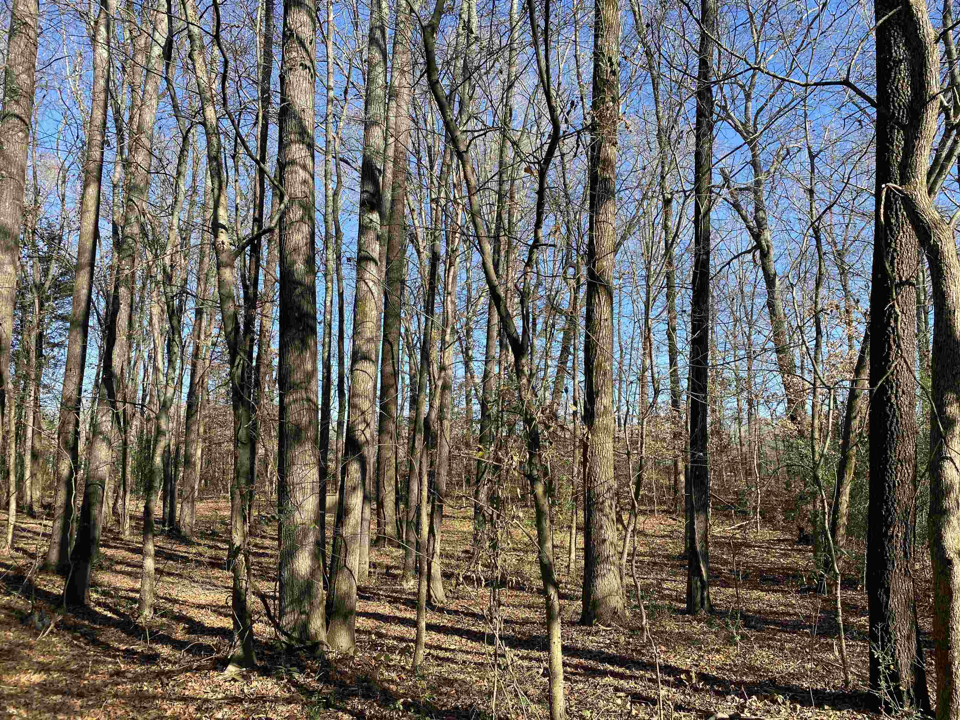 475 County Home Road Savannah, TN 38372 - Photo 21 of 25 Gallery Image 21