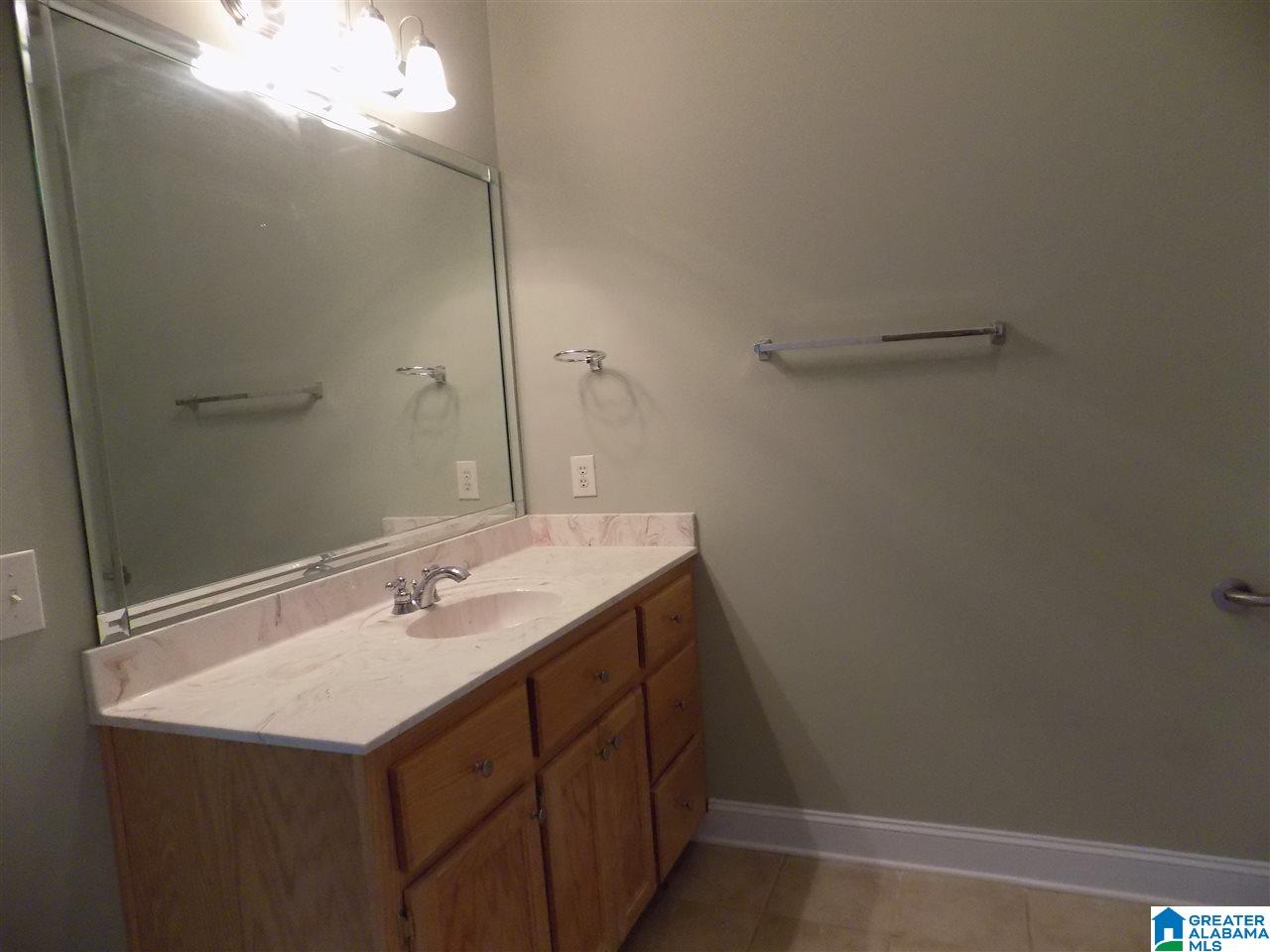 250 Trellis Circle Springville, AL 35146 - Photo 8 of 24