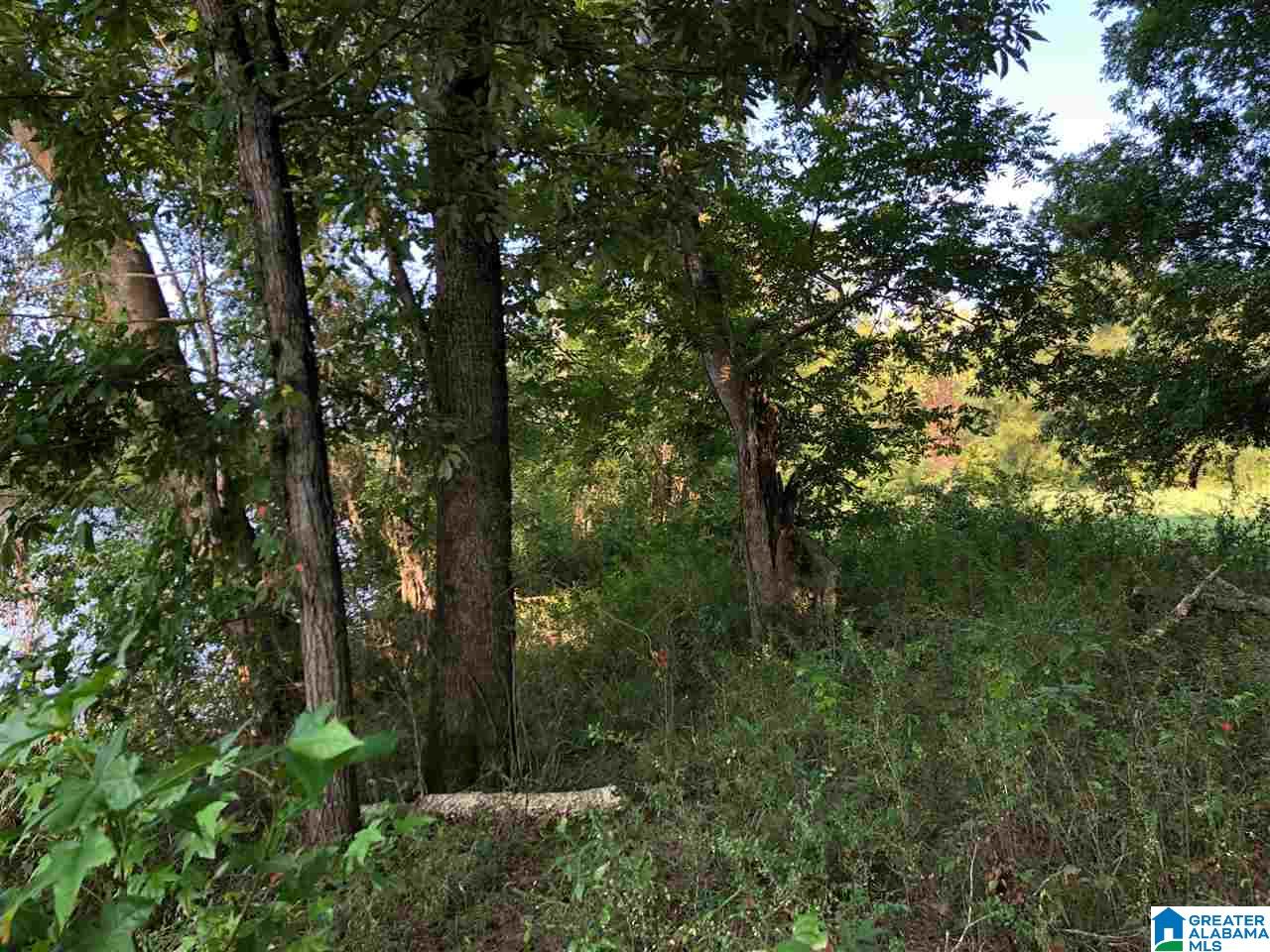 0 Brooks Road Ragland, AL 35131 - Photo 28 of 49