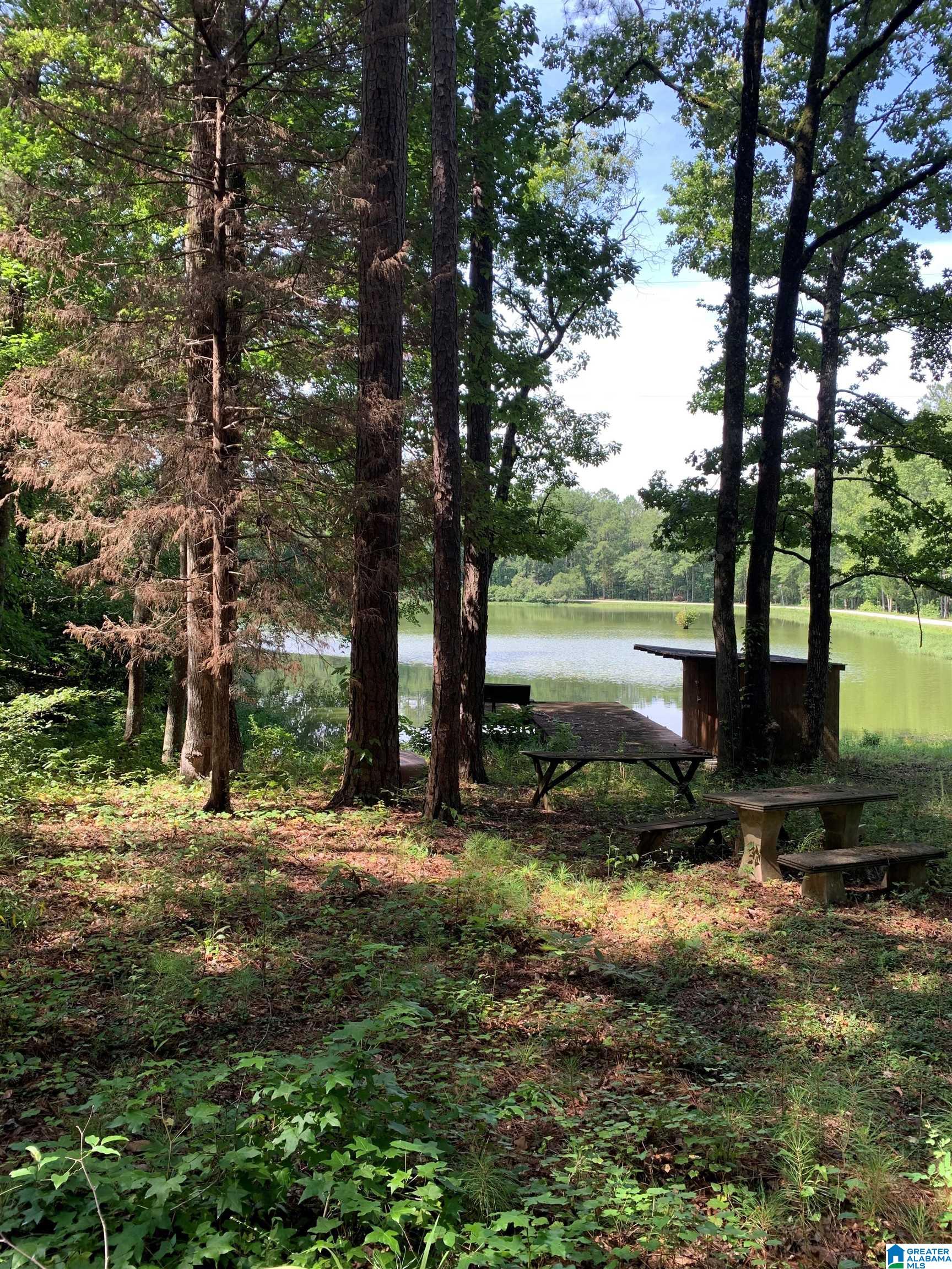 84 County Road 727, Unit 1 Montevallo, AL 35115 - Photo 4 of 4