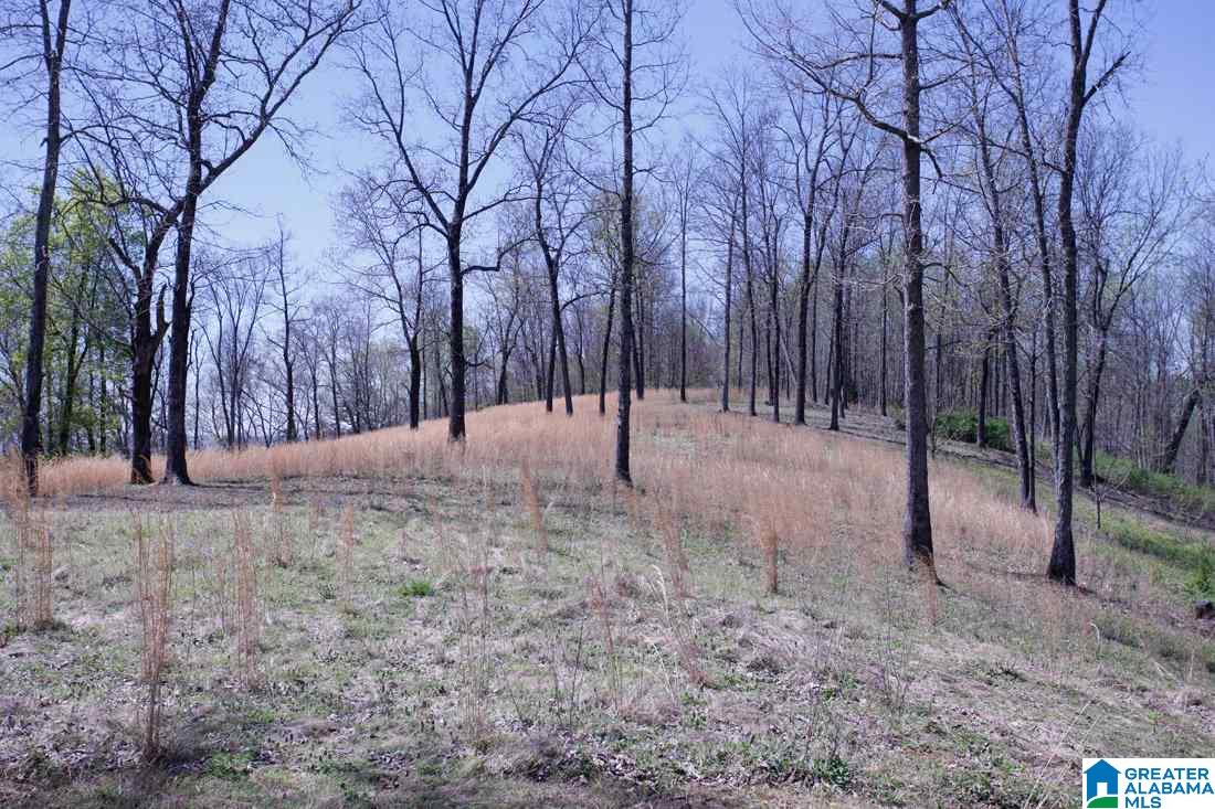7625 Old Springville Road Trussville, AL 35173 - Photo 44 of 49
