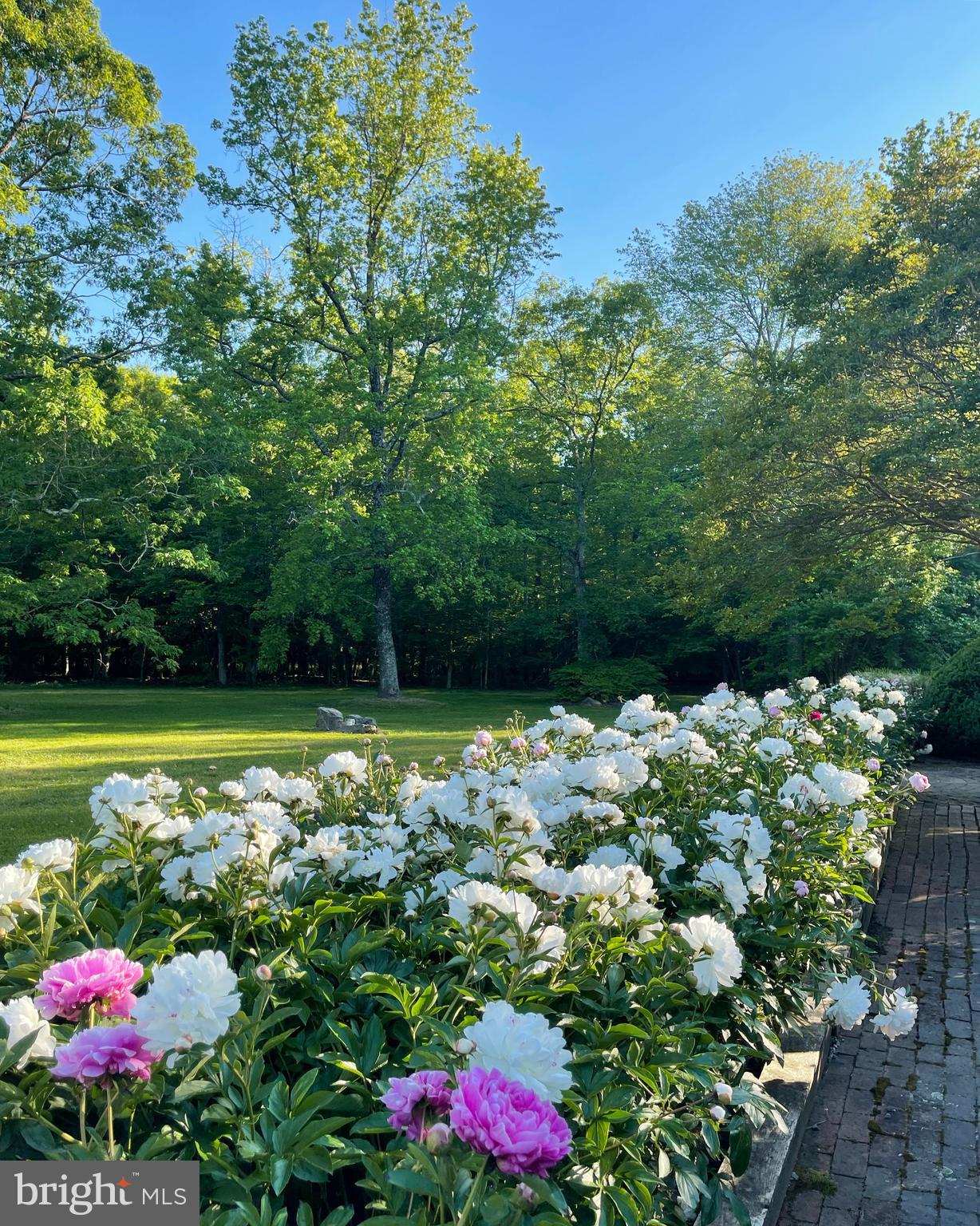 801 Bryan Point Road Accokeek, MD 20607 - Photo 83 of 98 Peony row in Spring!
