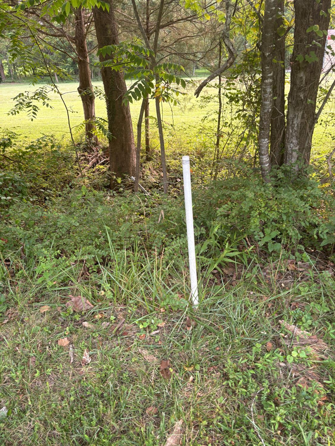 0 Two Two Bid Road Evington, VA 24550 - Photo 26 of 28 Lower Left pin