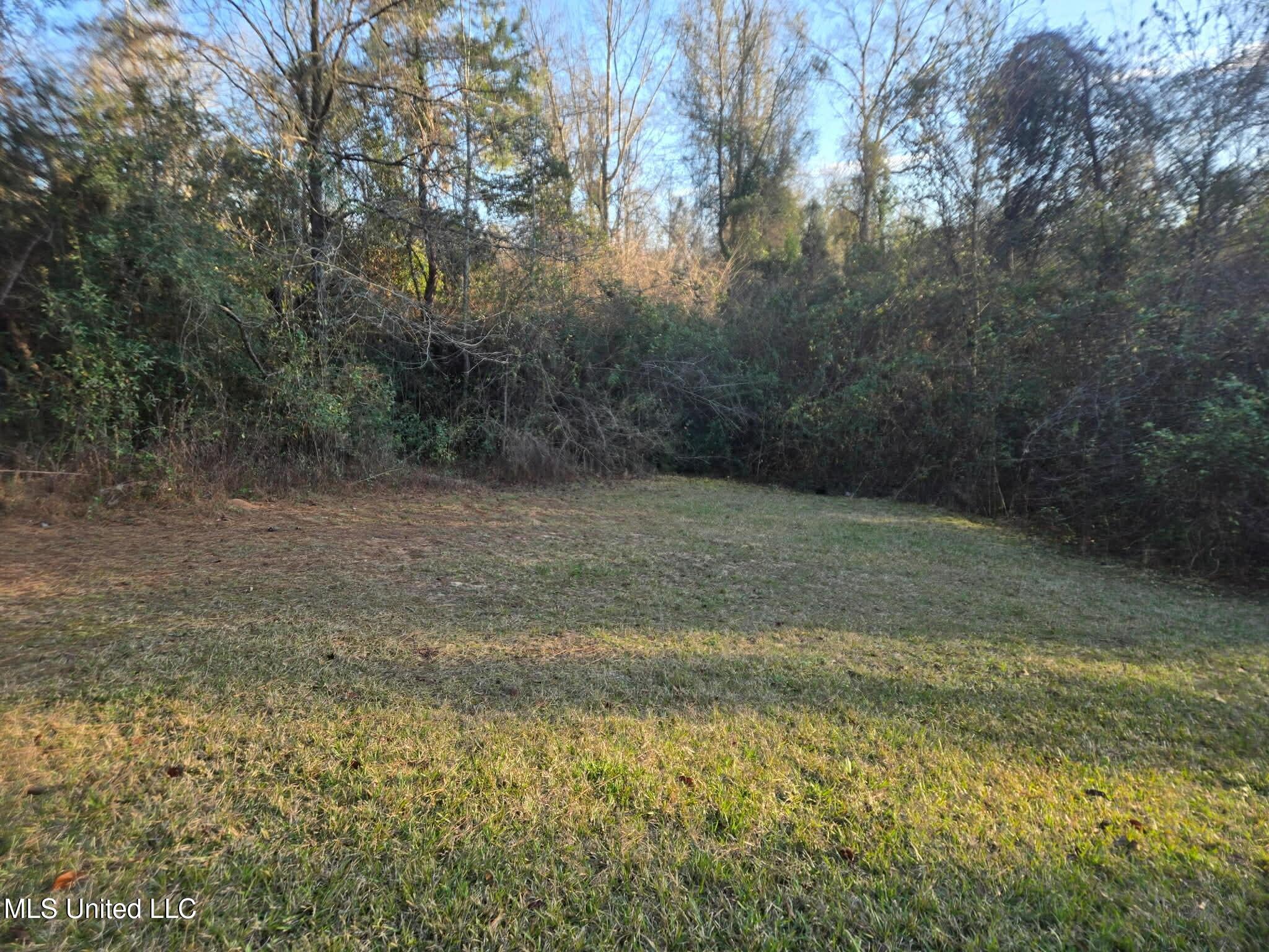 84 Mt Canaan Road Tylertown, MS 39667 - Photo 11 of 11 Back yard grass 2