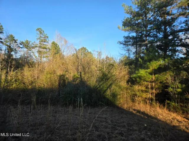 $175,000 | 84 Mt Canaan Road, Tylertown, MS 39667