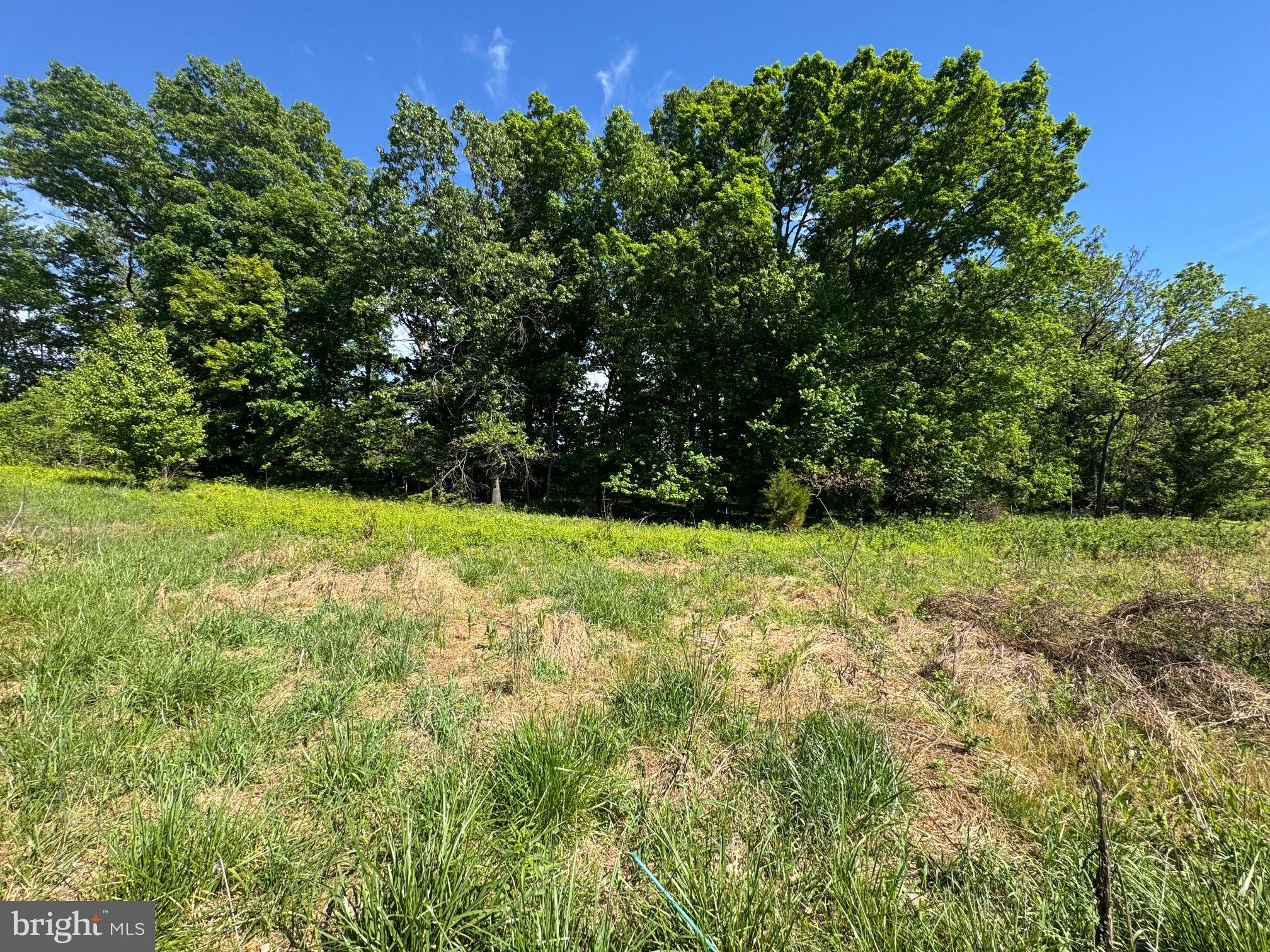 15491 Barnesville Road Boyds, MD 20841 - Photo 14 of 18 a view of yard with green space