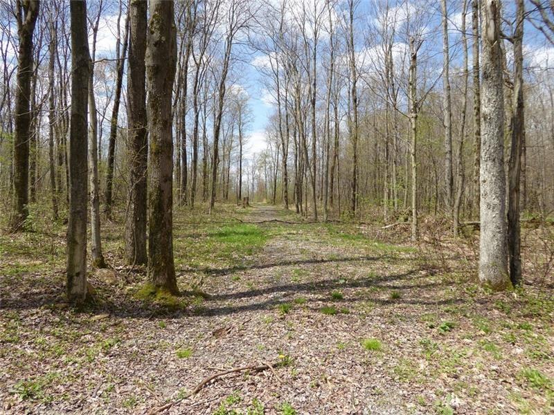 126 Schroyer Road Mill Run, PA 15464 - Photo 4 of 11