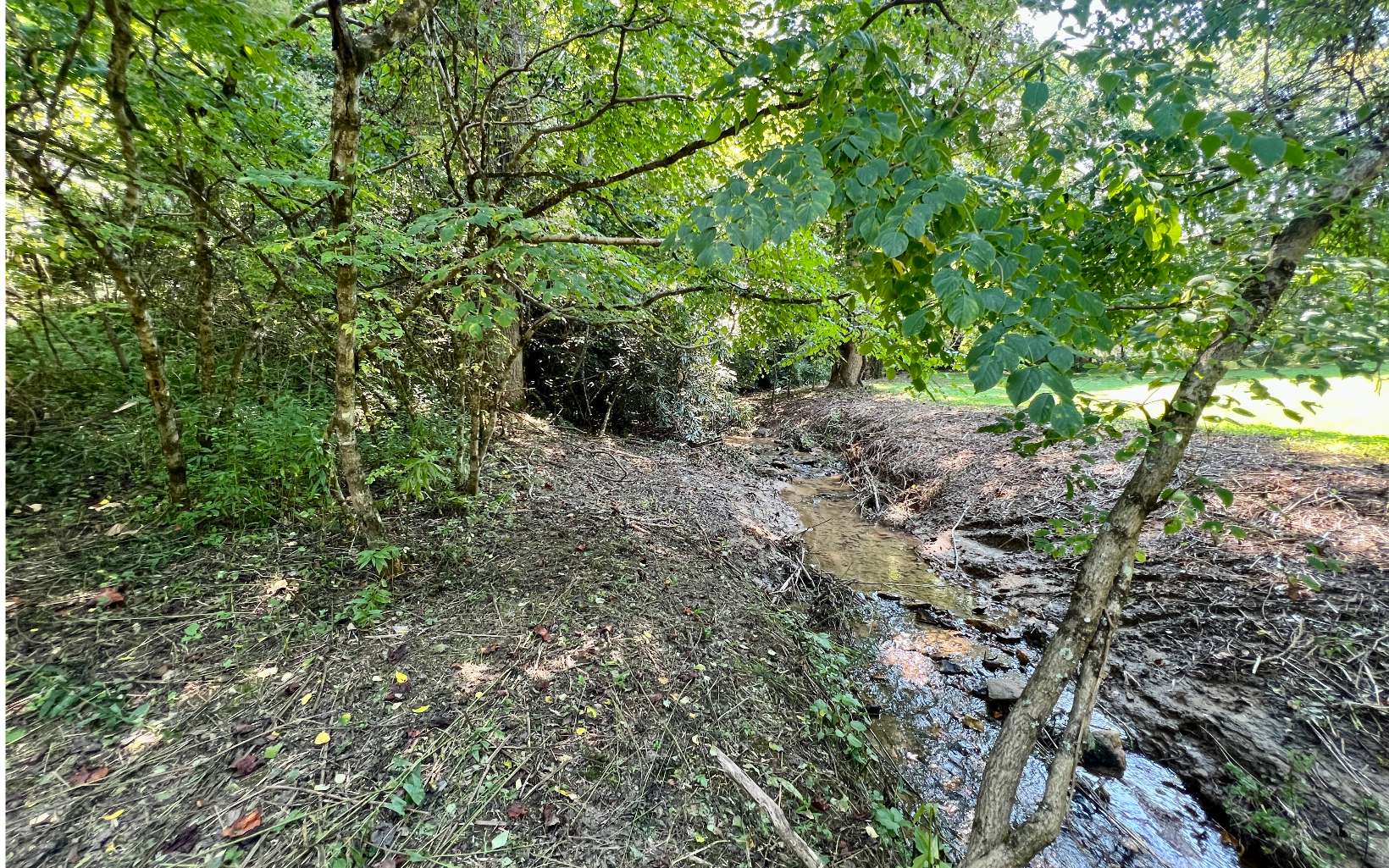 Additional View