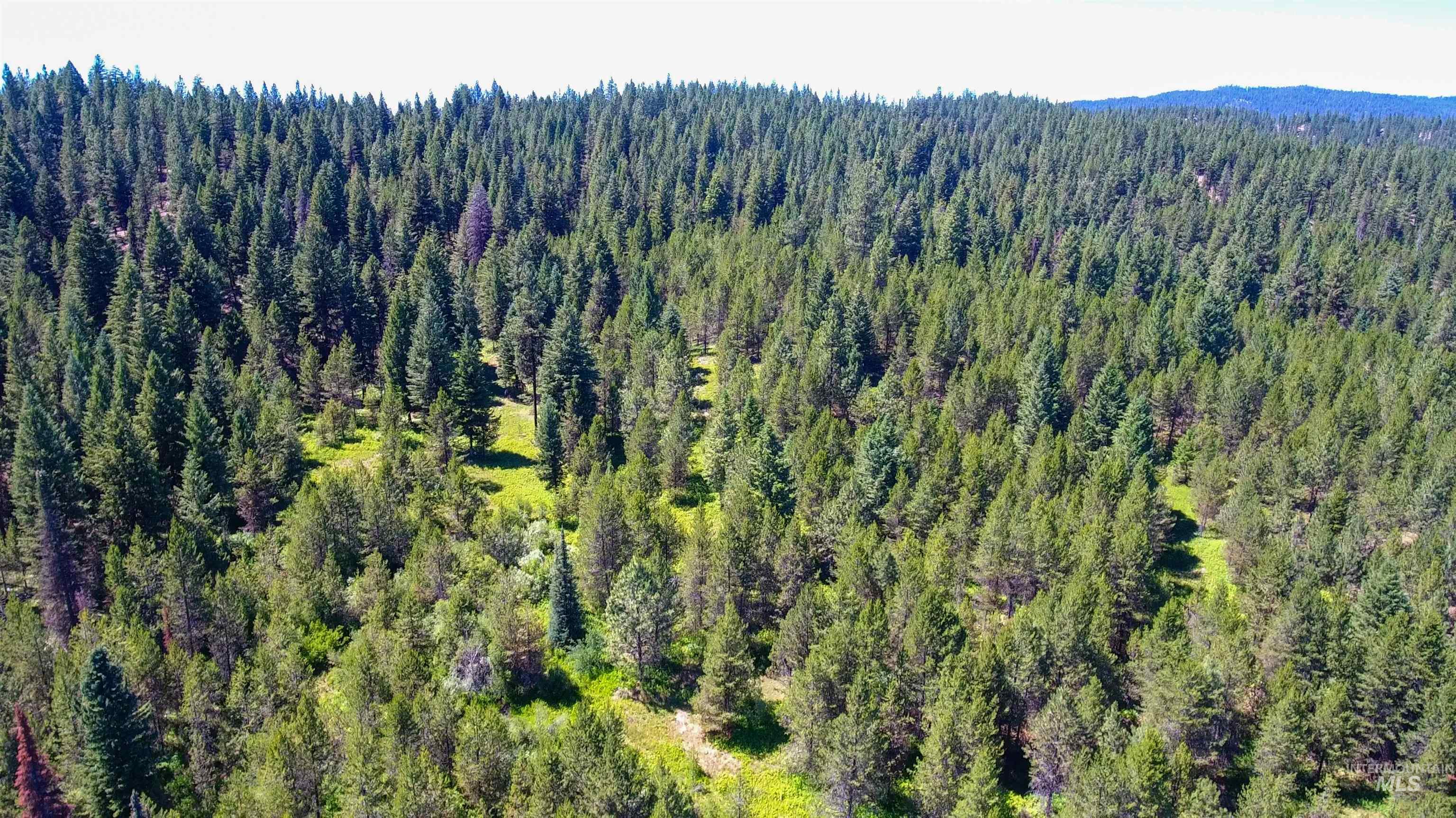 1-3 Horsethief Road Cascade, ID 83611 - Photo 7 of 11