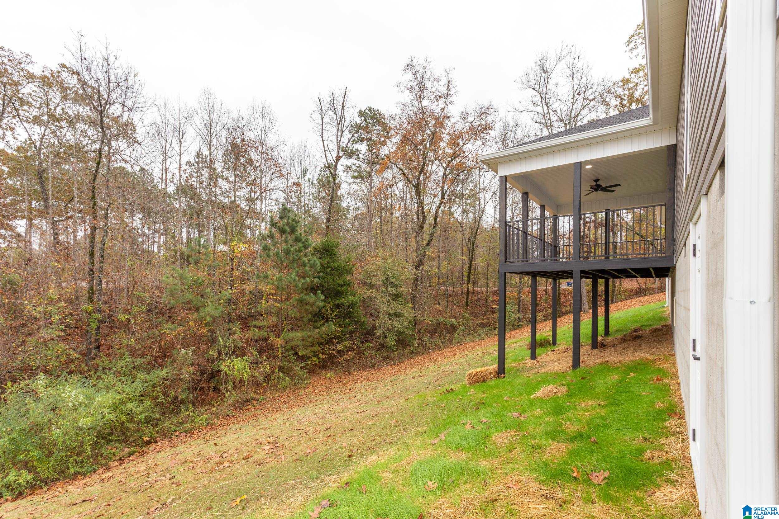 30 Phil Place Ohatchee, AL 36271 - Photo 4 of 32