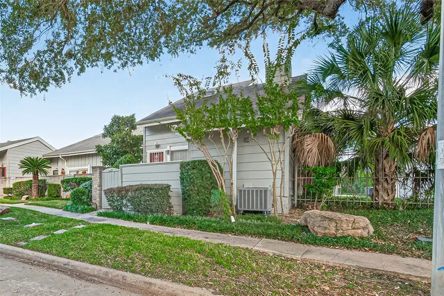 a view of a backyard with plants and large trees