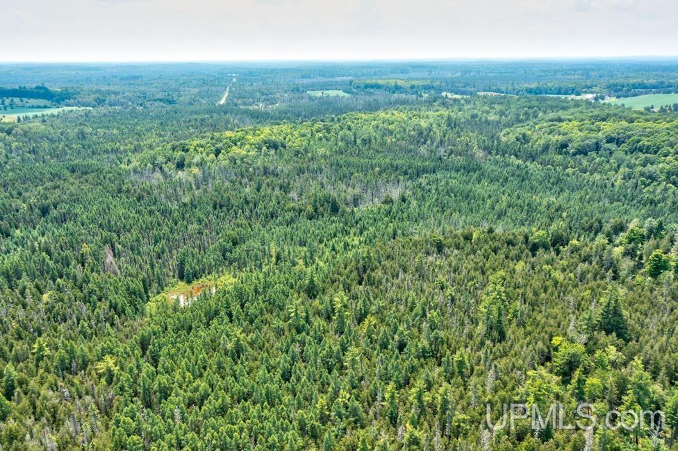 577 Rd Daggett Mi 49821 Road, Unit NONE Daggett, MI 49821 - Photo 7 of 9