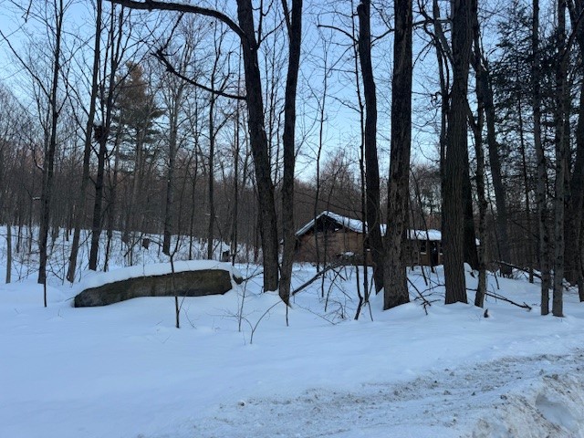184 Hoadley Hill Road Windsor, NY 13865 - Photo 14 of 19