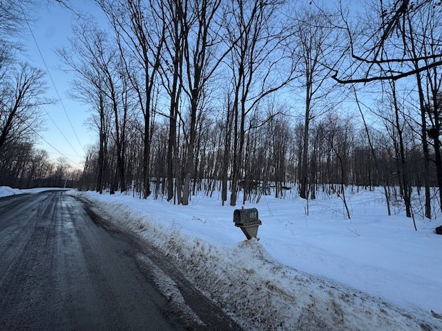 184 Hoadley Hill Road Windsor, NY 13865 - Photo 15 of 19