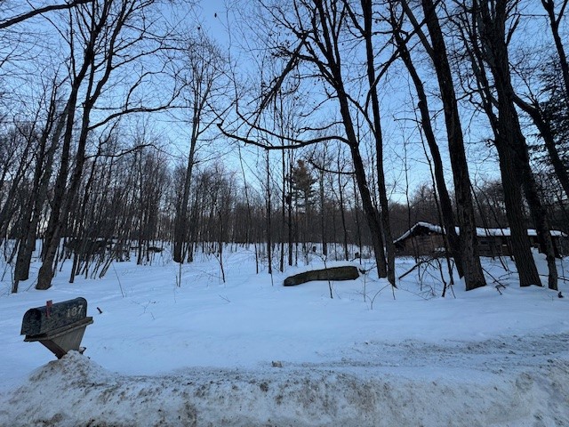184 Hoadley Hill Road Windsor, NY 13865 - Photo 17 of 19