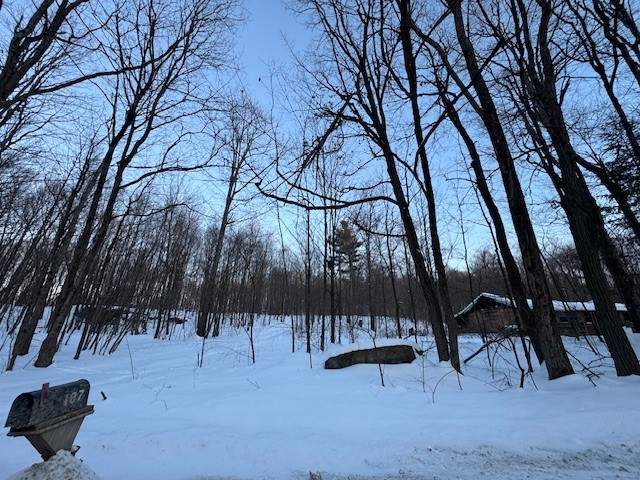 184 Hoadley Hill Road Windsor, NY 13865 - Photo 18 of 19