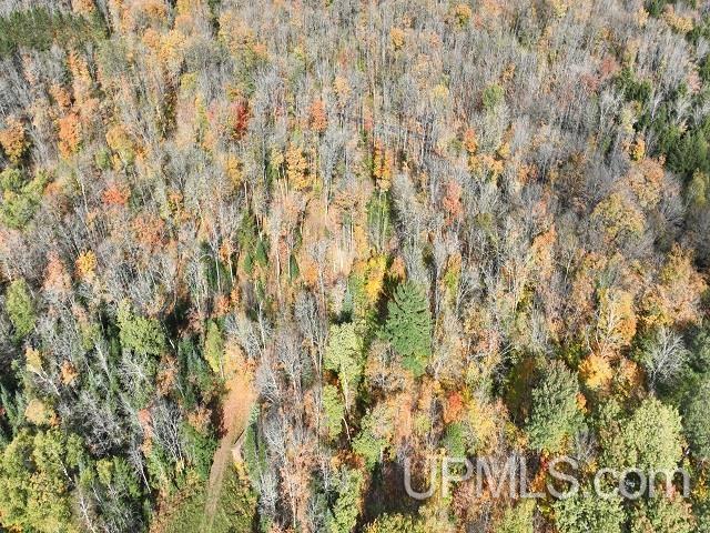 5800 Wolf Lake Road Watersmeet, MI 49969 - Photo 76 of 86