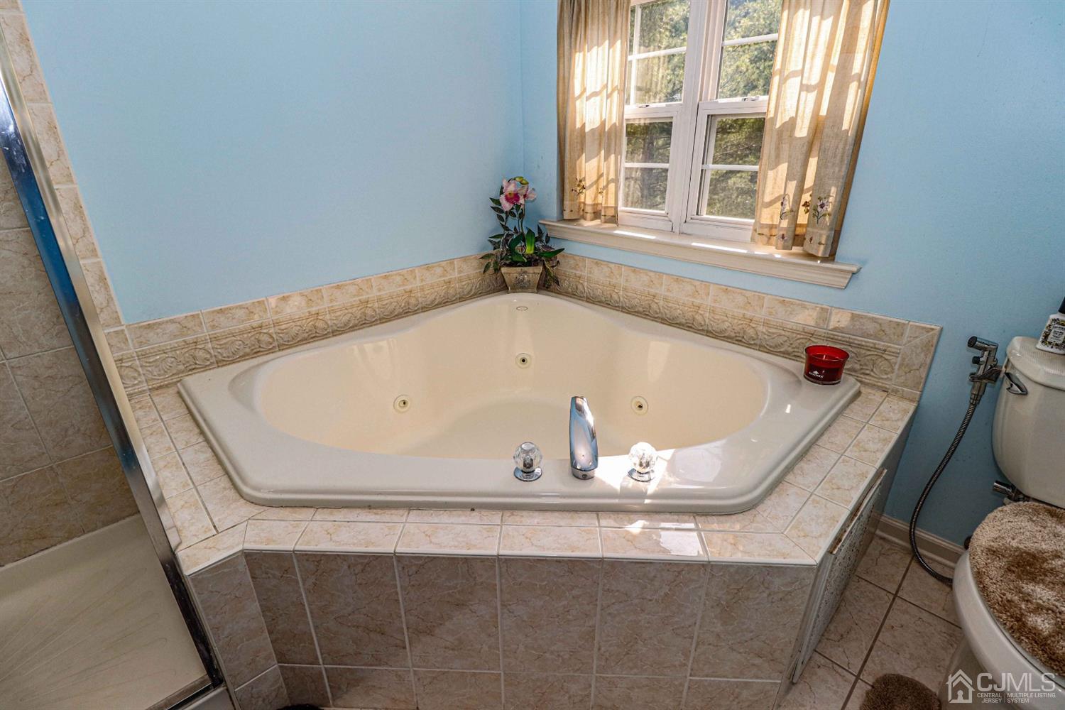31 Harbor Bay Circle Old Bridge, NJ 08879 - Photo 19 of 36 a view of bath tub sitting in a bathroom