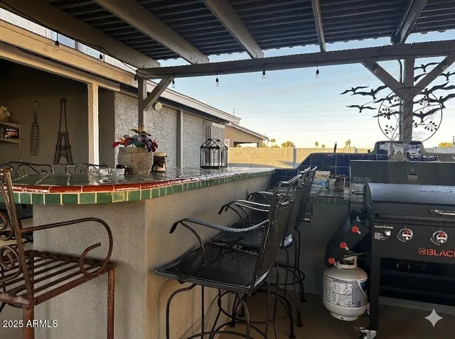 a roof deck with table and chairs with potted plants
