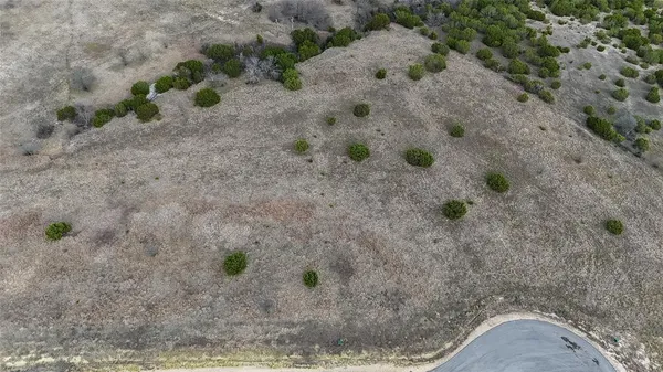 a view of a dry yard covered with trees