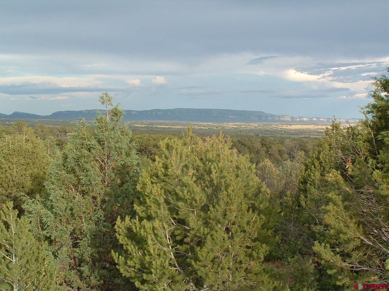 Tbd De Oro Way Hesperus, CO 81326 - Photo 11 of 13