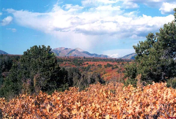 $134,000 | Tbd De Oro Way, Hesperus, CO 81326