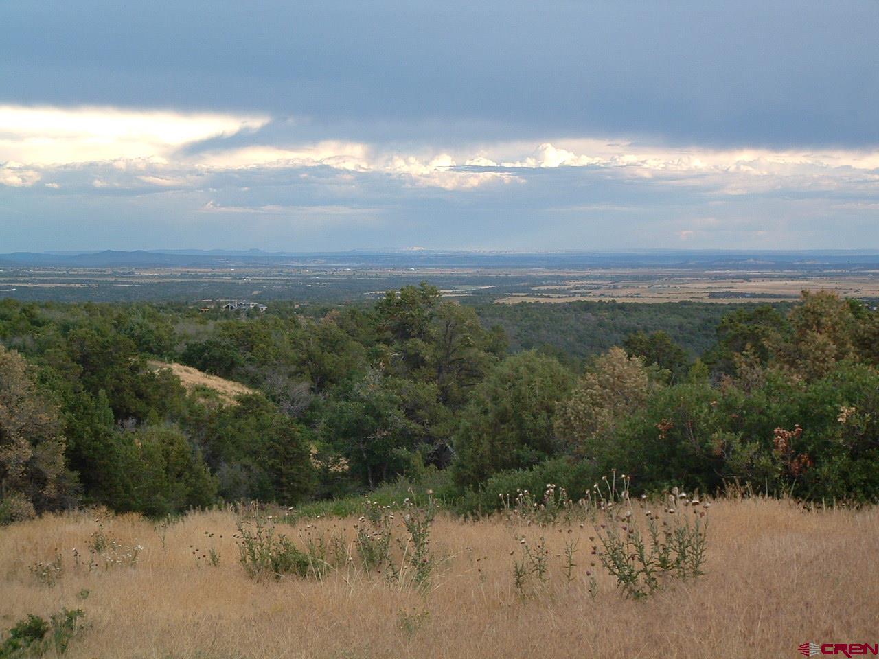 Tbd De Oro Way Hesperus, CO 81326 - Photo 3 of 13