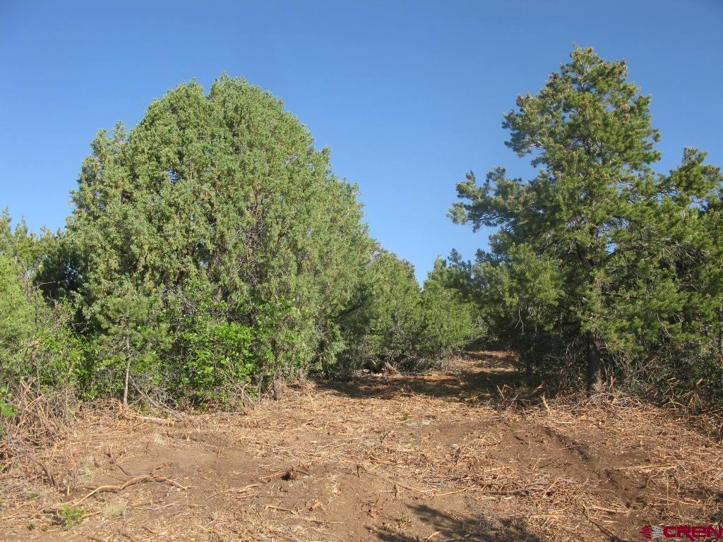 Tbd De Oro Way Hesperus, CO 81326 - Photo 5 of 13
