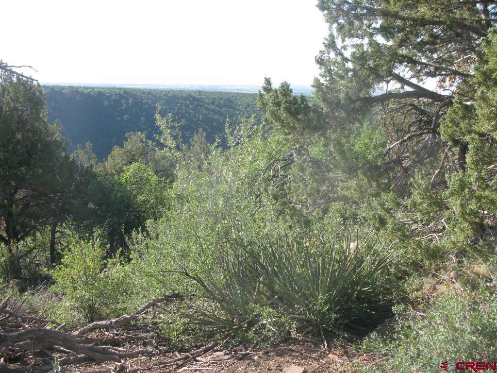 Tbd De Oro Way Hesperus, CO 81326 - Photo 6 of 13